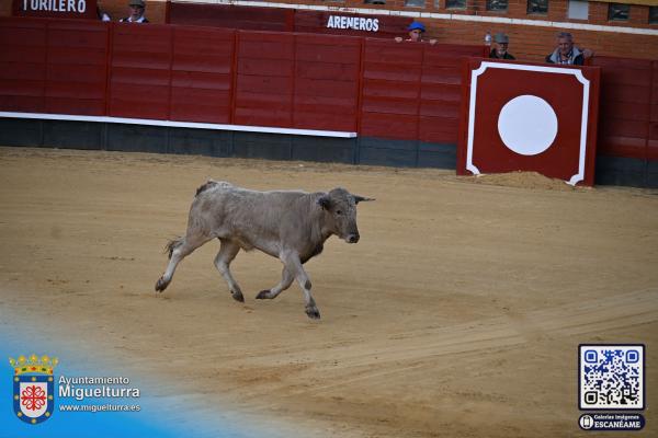 novilladamarzo20262-Fuente imagen Area Comunicación Ayuntamiento de Miguelturra-109