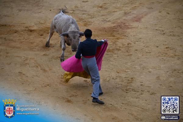 novilladamarzo20262-Fuente imagen Area Comunicación Ayuntamiento de Miguelturra-111