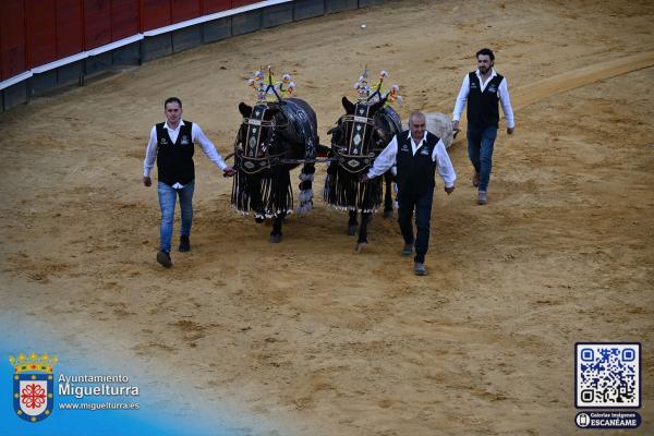 novilladamarzo20262-Fuente imagen Area Comunicación Ayuntamiento de Miguelturra-123