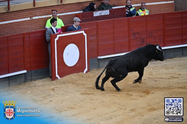 novilladamarzo20262-Fuente imagen Area Comunicación Ayuntamiento de Miguelturra-129