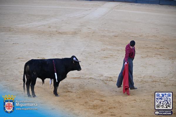 novilladamarzo20262-Fuente imagen Area Comunicación Ayuntamiento de Miguelturra-157