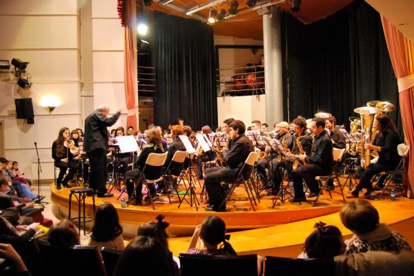 Concierto de la Banda Sinfonica Juvenil de Miguelturra - 2015-02-07- fuente Esmeralda Muñoz Sanchez - 27