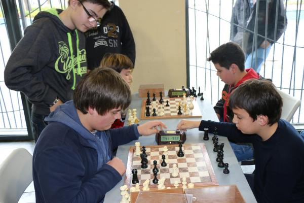 Campeonato Interescolar Ajedrez Miguelturra-marzo 2015-fuente Area Comunicacion Municipal-021