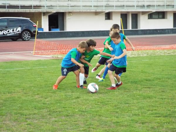 campus-futbol-miguelturra-2019-dia-1-2019-06-24-fuente-imagenes-alberto-sanchez-199