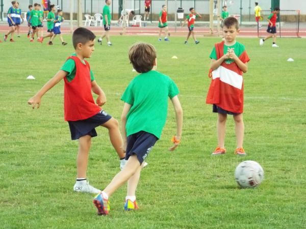 campus-futbol-miguelturra-2019-dia-1-2019-06-24-fuente-imagenes-alberto-sanchez-207