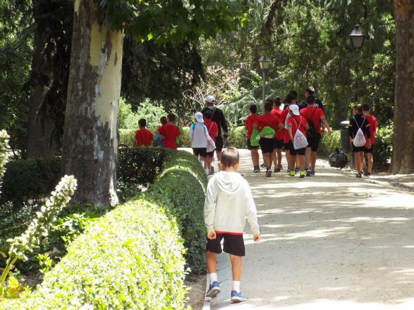 excursion-a-madrid-del-campus-de-futbol-2017-imagenes-de-alberto-sanchez-092