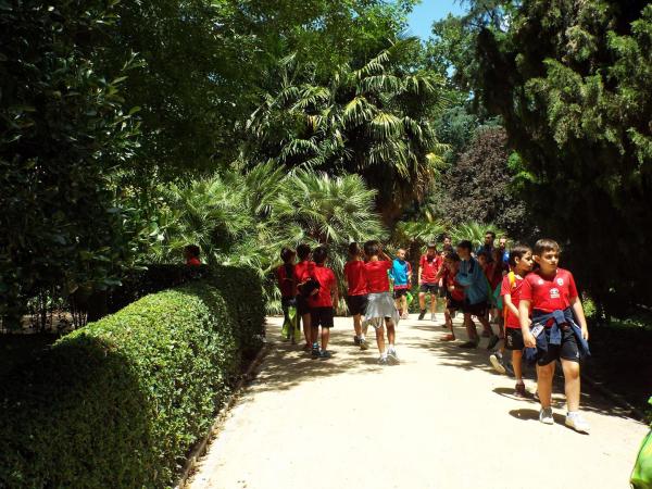 excursion-a-madrid-del-campus-de-futbol-2017-imagenes-de-alberto-sanchez-110