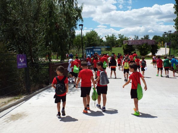 excursion-a-madrid-del-campus-de-futbol-2017-imagenes-de-alberto-sanchez-143