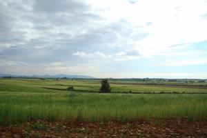 Desafío Cruzcampo en Peralvillo-Mundial futbol 2010