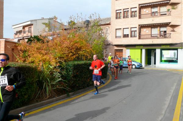 Media Maraton Rural Villa Miguelturra-2014-11-23-fuente Area de Deportes-021