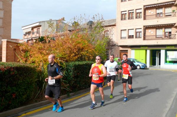 Media Maraton Rural Villa Miguelturra-2014-11-23-fuente Area de Deportes-029