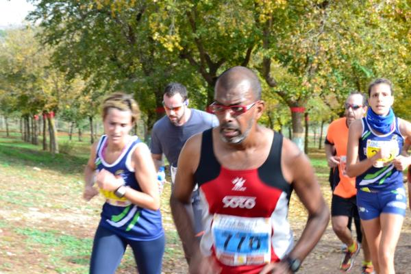 Media Maraton Rural Villa Miguelturra-2014-11-23-fuente Arlequines Miguelturra-090