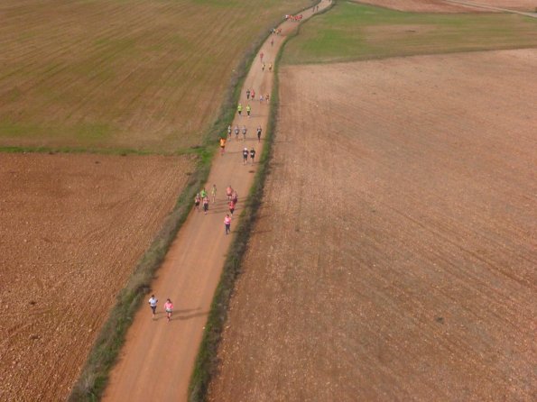 Media Maraton Rural Villa Miguelturra desde el aire-2014-11-23-fuente Club Paramotor Miguelturra-034