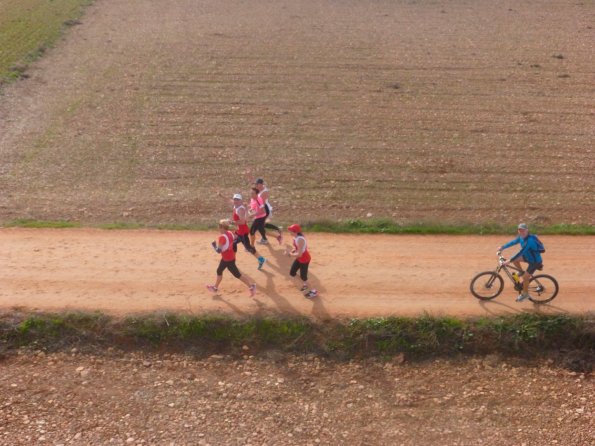 Media Maraton Rural Villa Miguelturra desde el aire-2014-11-23-fuente Club Paramotor Miguelturra-048