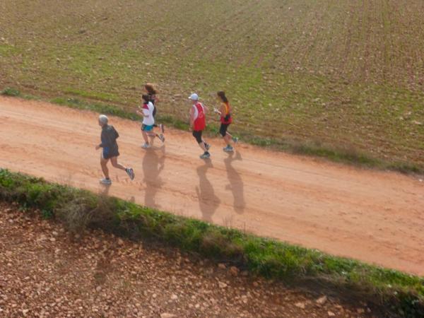 Media Maraton Rural Villa Miguelturra desde el aire-2014-11-23-fuente Club Paramotor Miguelturra-050
