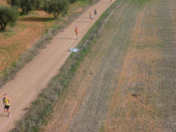 Media Maraton Rural Villa Miguelturra desde el aire-2014-11-23-fuente Club Paramotor Miguelturra-105