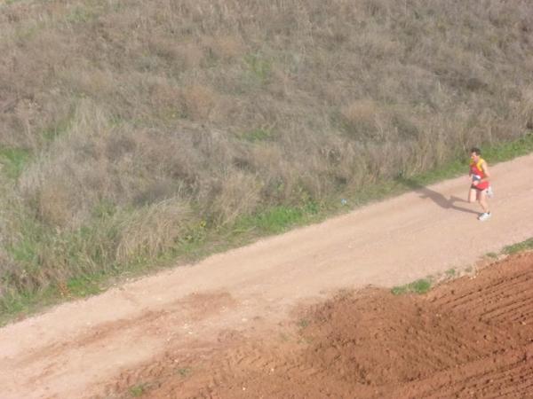 Media Maraton Rural Villa Miguelturra desde el aire-2014-11-23-fuente Club Paramotor Miguelturra-112