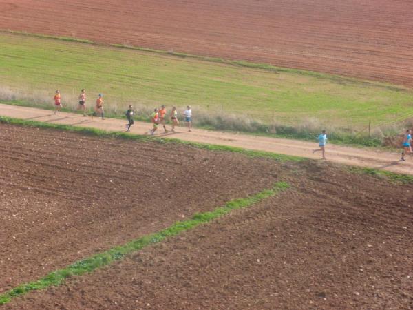 Media Maraton Rural Villa Miguelturra desde el aire-2014-11-23-fuente Club Paramotor Miguelturra-144