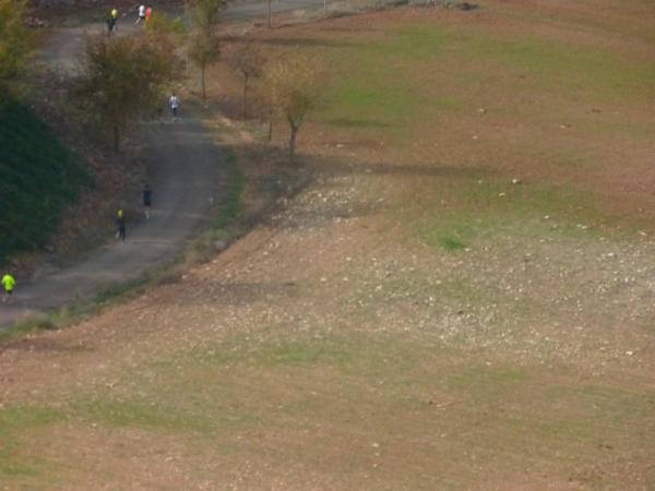 Media Maraton Rural Villa Miguelturra desde el aire-2014-11-23-fuente Club Paramotor Miguelturra-239