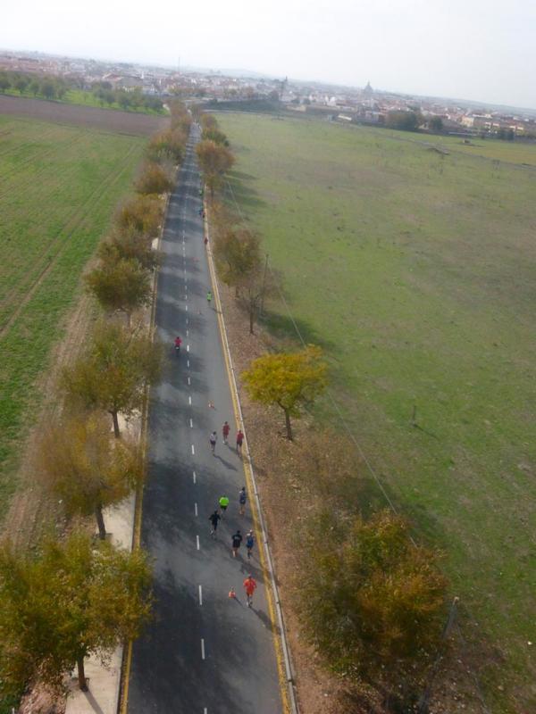 Media Maraton Rural Villa Miguelturra desde el aire-2014-11-23-fuente Club Paramotor Miguelturra-249