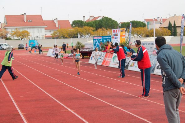 Media Maraton Rural Villa Miguelturra y Carrera Mini-2014-11-23-fuente Eduardo Zurita Rosales-163