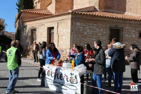 Media Maraton Rural Villa Miguelturra y Carrera Mini-2015-11-22-Fuente Area de Comunicacion Social-275