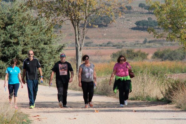 actividad deportiva octubre 2014 -fuente Area de Deportes Ayuntamiento Miguelturra-128