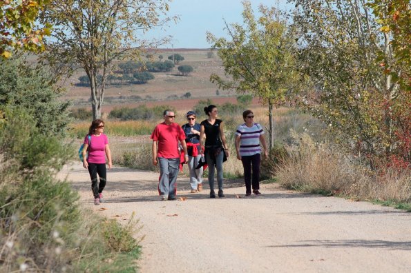 actividad deportiva octubre 2014 -fuente Area de Deportes Ayuntamiento Miguelturra-131