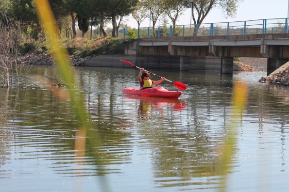 actividad deportiva octubre 2014 -fuente Area de Deportes Ayuntamiento Miguelturra-286