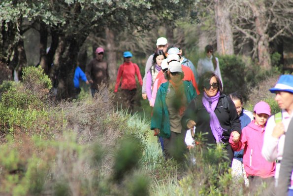 Paseando por Miguelturra-2015-04-19-fuente Concejalia de Deportes de Miguelturra-075