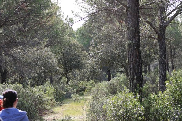 Paseando por Miguelturra-2015-04-19-fuente Concejalia de Deportes de Miguelturra-081