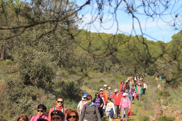 Paseando por Miguelturra-2015-04-19-fuente Concejalia de Deportes de Miguelturra-088