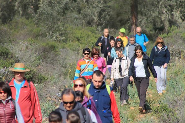 Paseando por Miguelturra-2015-04-19-fuente Concejalia de Deportes de Miguelturra-095