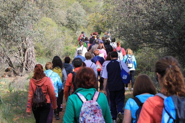 Paseando por Miguelturra-2015-04-19-fuente Concejalia de Deportes de Miguelturra-097