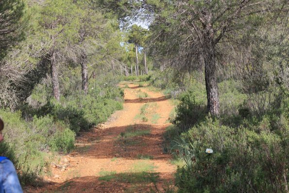 Paseando por Miguelturra-2015-04-19-fuente Concejalia de Deportes de Miguelturra-099