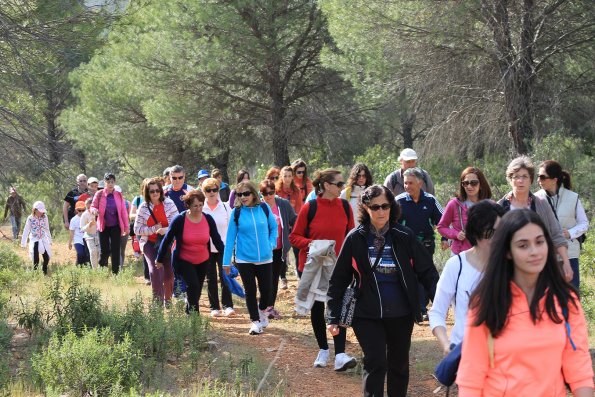 Paseando por Miguelturra-2015-04-19-fuente Concejalia de Deportes de Miguelturra-106