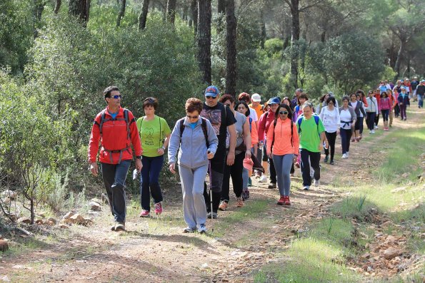 Paseando por Miguelturra-2015-04-19-fuente Concejalia de Deportes de Miguelturra-128