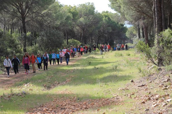 Paseando por Miguelturra-2015-04-19-fuente Concejalia de Deportes de Miguelturra-129