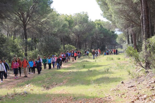 Paseando por Miguelturra-2015-04-19-fuente Concejalia de Deportes de Miguelturra-130