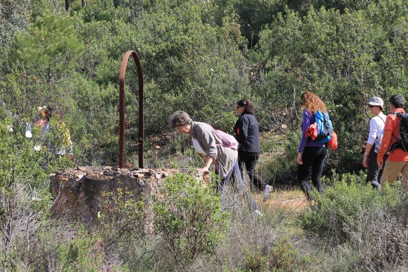 Paseando por Miguelturra-2015-04-19-fuente Concejalia de Deportes de Miguelturra-133