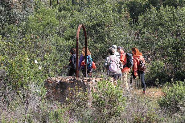 Paseando por Miguelturra-2015-04-19-fuente Concejalia de Deportes de Miguelturra-134