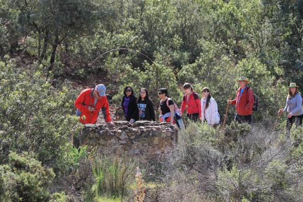 Paseando por Miguelturra-2015-04-19-fuente Concejalia de Deportes de Miguelturra-142