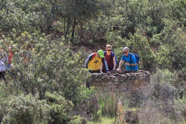 Paseando por Miguelturra-2015-04-19-fuente Concejalia de Deportes de Miguelturra-146