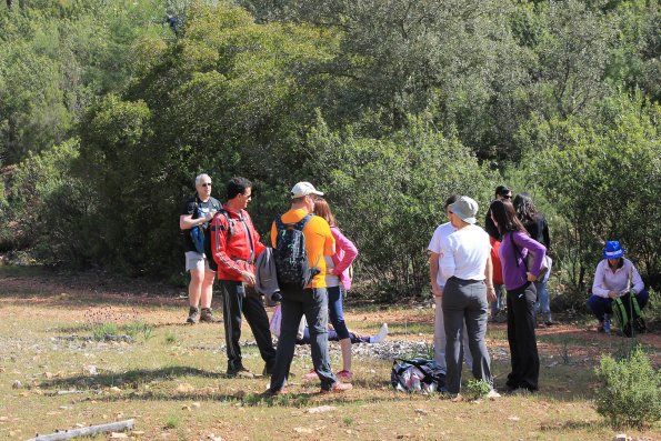 Paseando por Miguelturra-2015-04-19-fuente Concejalia de Deportes de Miguelturra-149