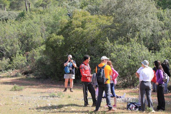 Paseando por Miguelturra-2015-04-19-fuente Concejalia de Deportes de Miguelturra-150