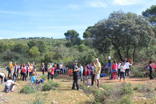 Paseando por Miguelturra-2015-04-19-fuente Concejalia de Deportes de Miguelturra-158