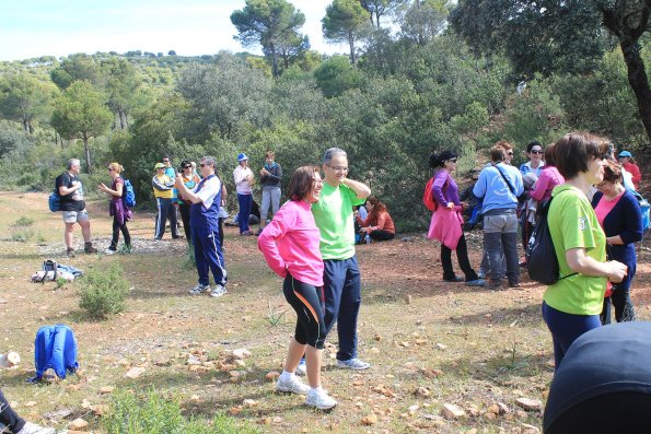 Paseando por Miguelturra-2015-04-19-fuente Concejalia de Deportes de Miguelturra-164