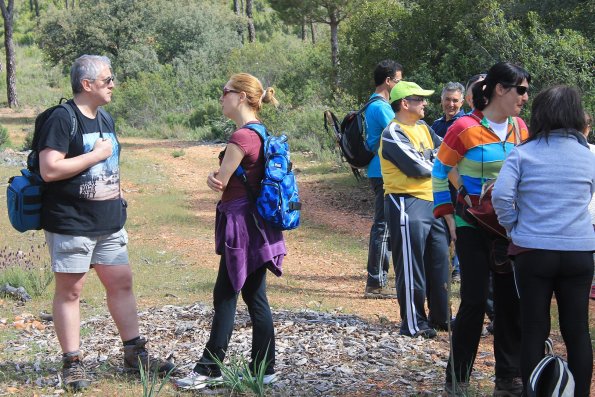 Paseando por Miguelturra-2015-04-19-fuente Concejalia de Deportes de Miguelturra-170