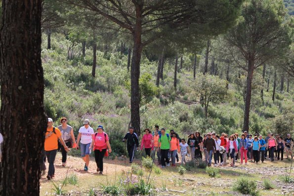 Paseando por Miguelturra-2015-04-19-fuente Concejalia de Deportes de Miguelturra-190