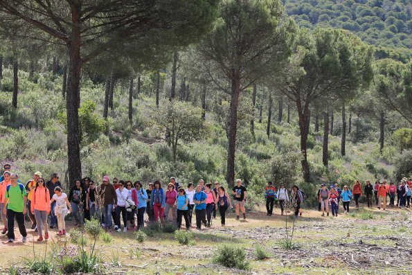 Paseando por Miguelturra-2015-04-19-fuente Concejalia de Deportes de Miguelturra-192